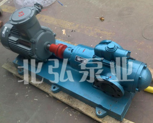 2W.W型雙螺桿泵